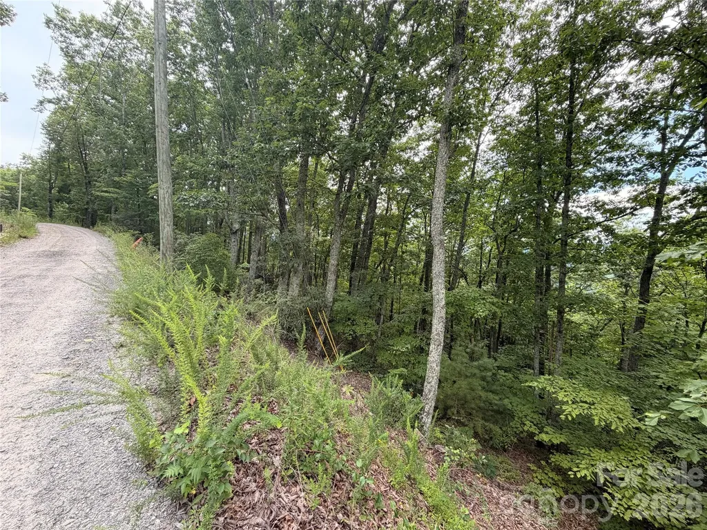 99999 Harrison Hill Road Swannanoa NC 28778