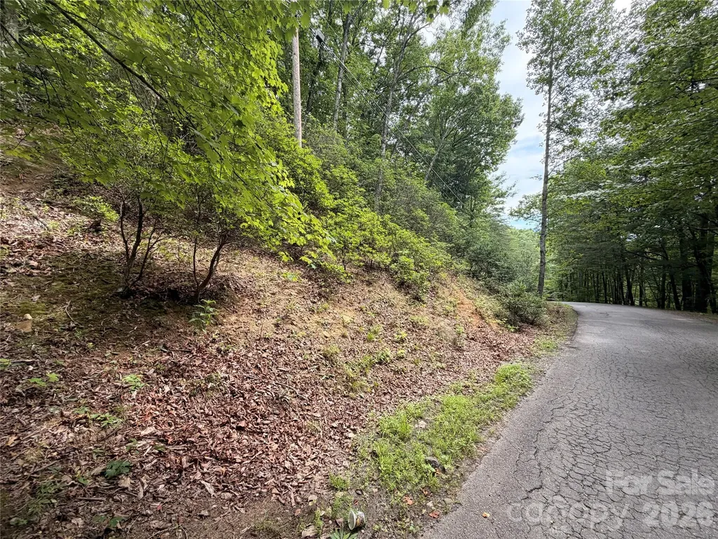 99999 Harrison Hill Road Swannanoa NC 28778