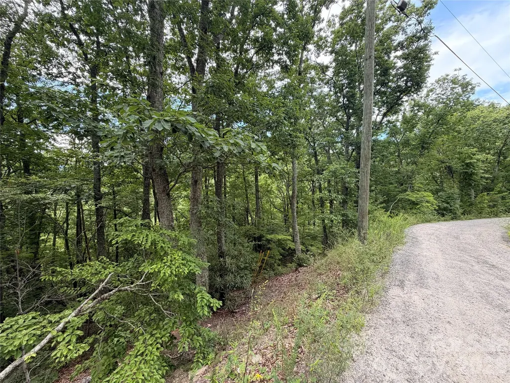 99999 Harrison Hill Road Swannanoa NC 28778