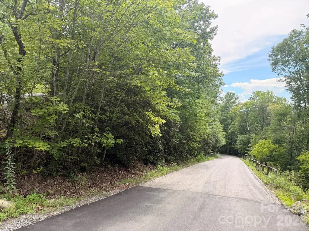 99999 Harrison Hill Road Swannanoa NC 28778