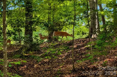 1147 Whispering Winds Drive Catawba NC 28609