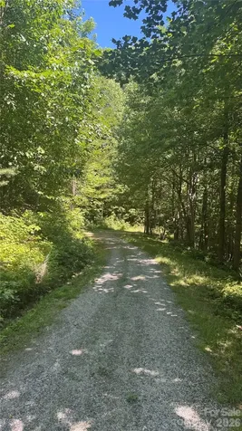 1802 Off Sr Saluda NC 28773