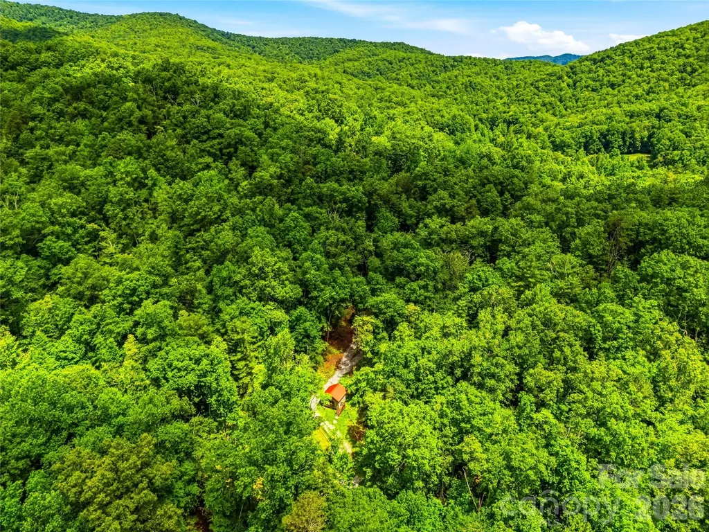 45 Watagnee Trail Horse Shoe NC 28742