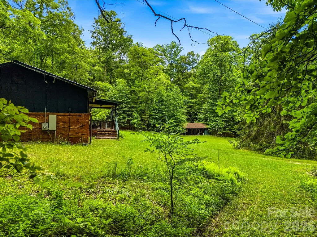 45 Watagnee Trail Horse Shoe NC 28742