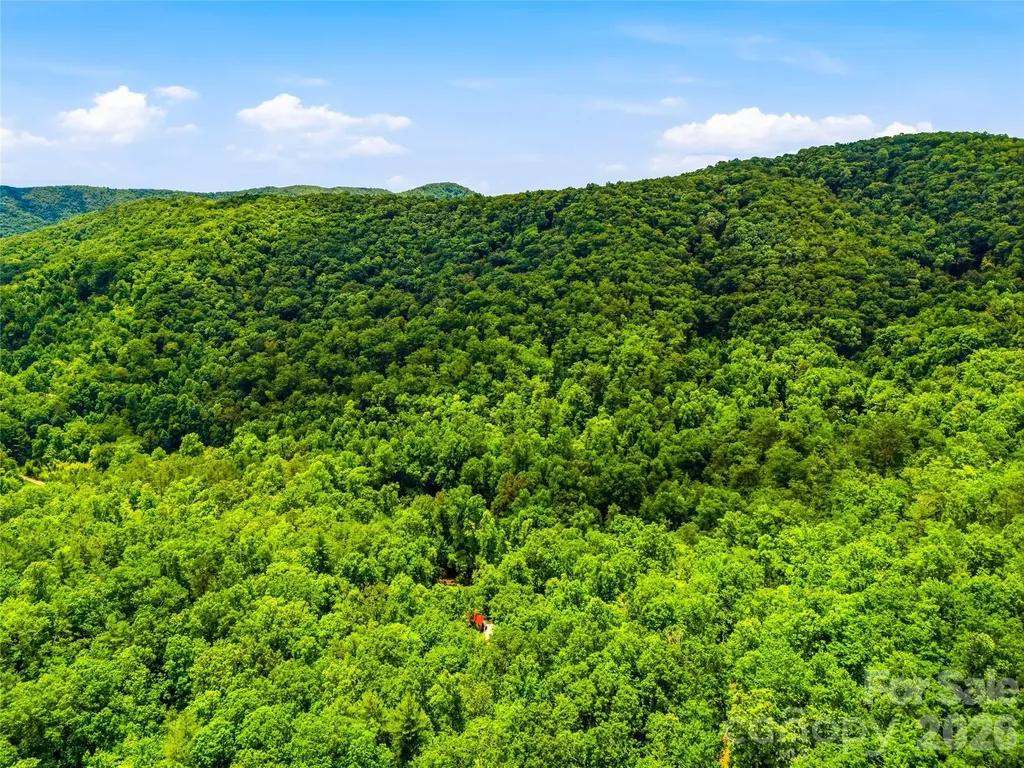 45 Watagnee Trail Horse Shoe NC 28742