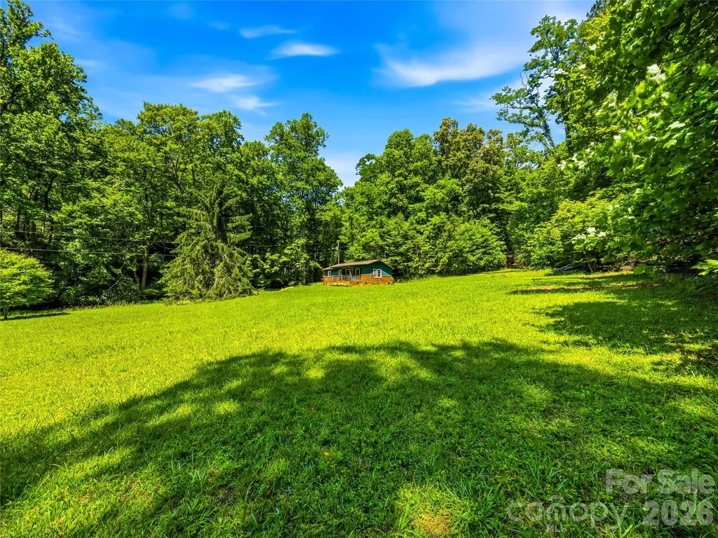 45 Watagnee Trail Horse Shoe NC 28742