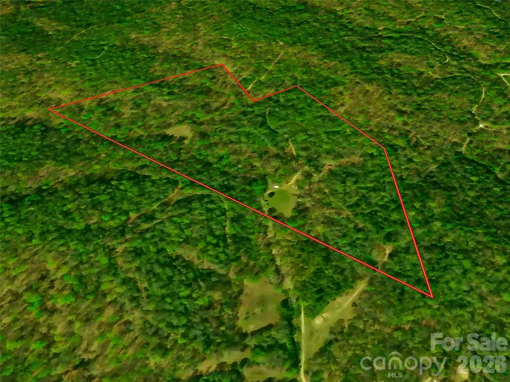 45 Watagnee Trail Horse Shoe NC 28742
