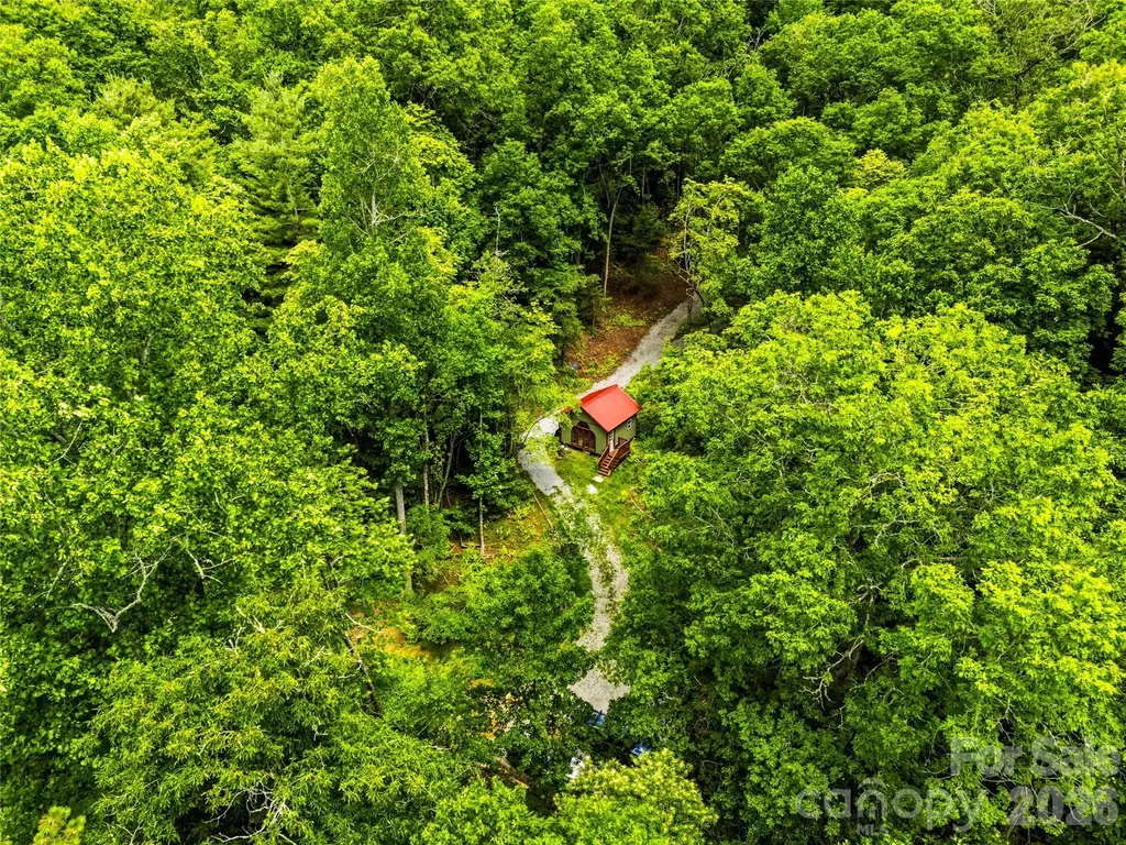 45 Watagnee Trail Horse Shoe NC 28742