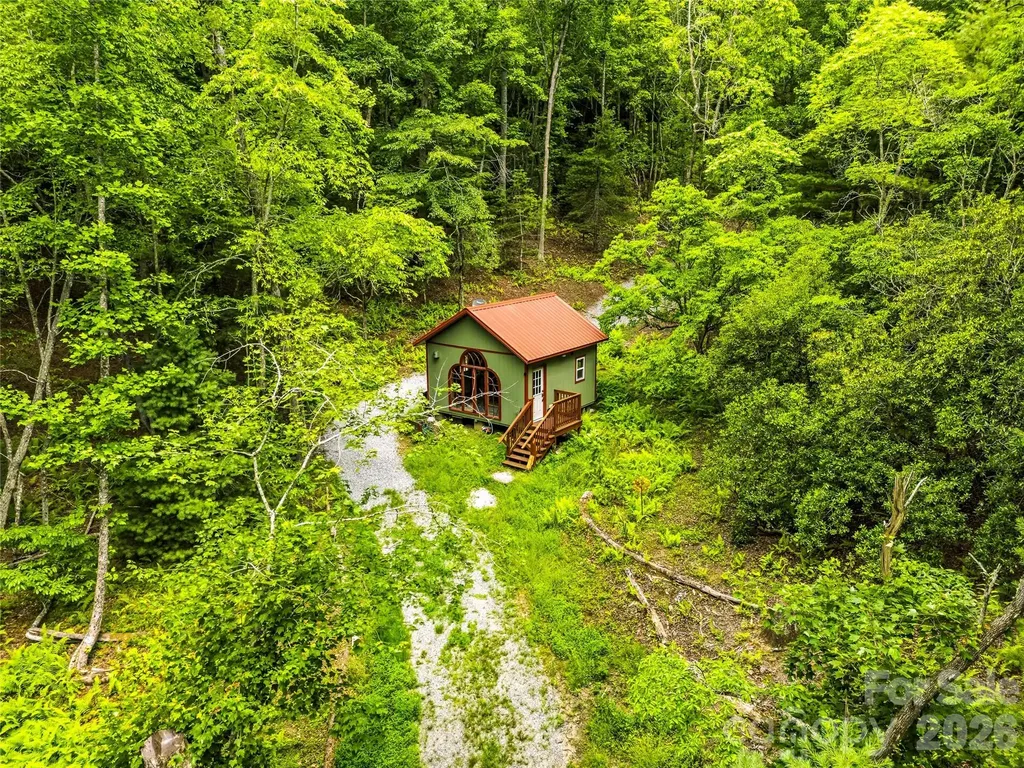 45 Watagnee Trail Horse Shoe NC 28742
