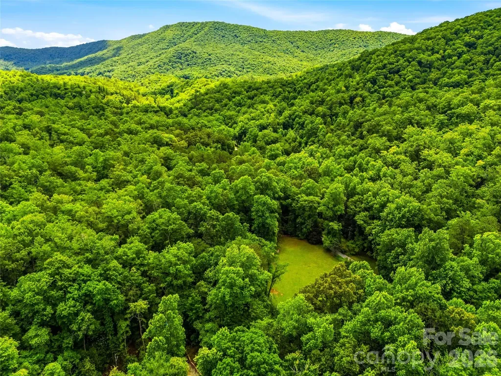 45 Watagnee Trail Horse Shoe NC 28742