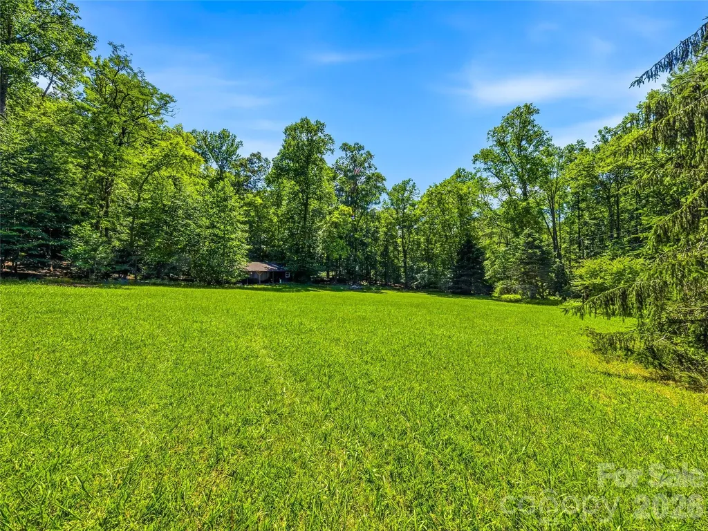 45 Watagnee Trail Horse Shoe NC 28742