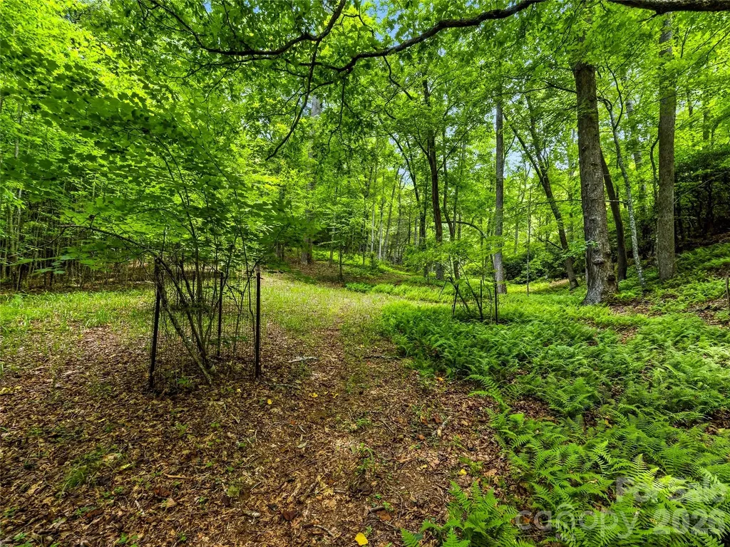 45 Watagnee Trail Horse Shoe NC 28742