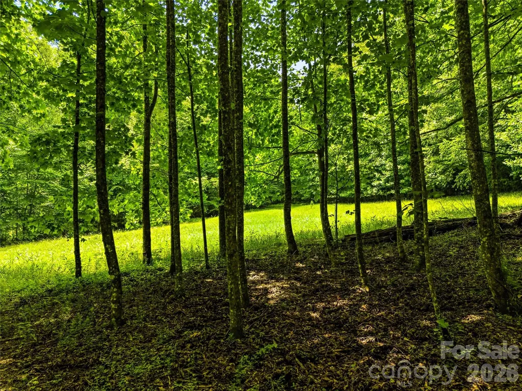 45 Watagnee Trail Horse Shoe NC 28742