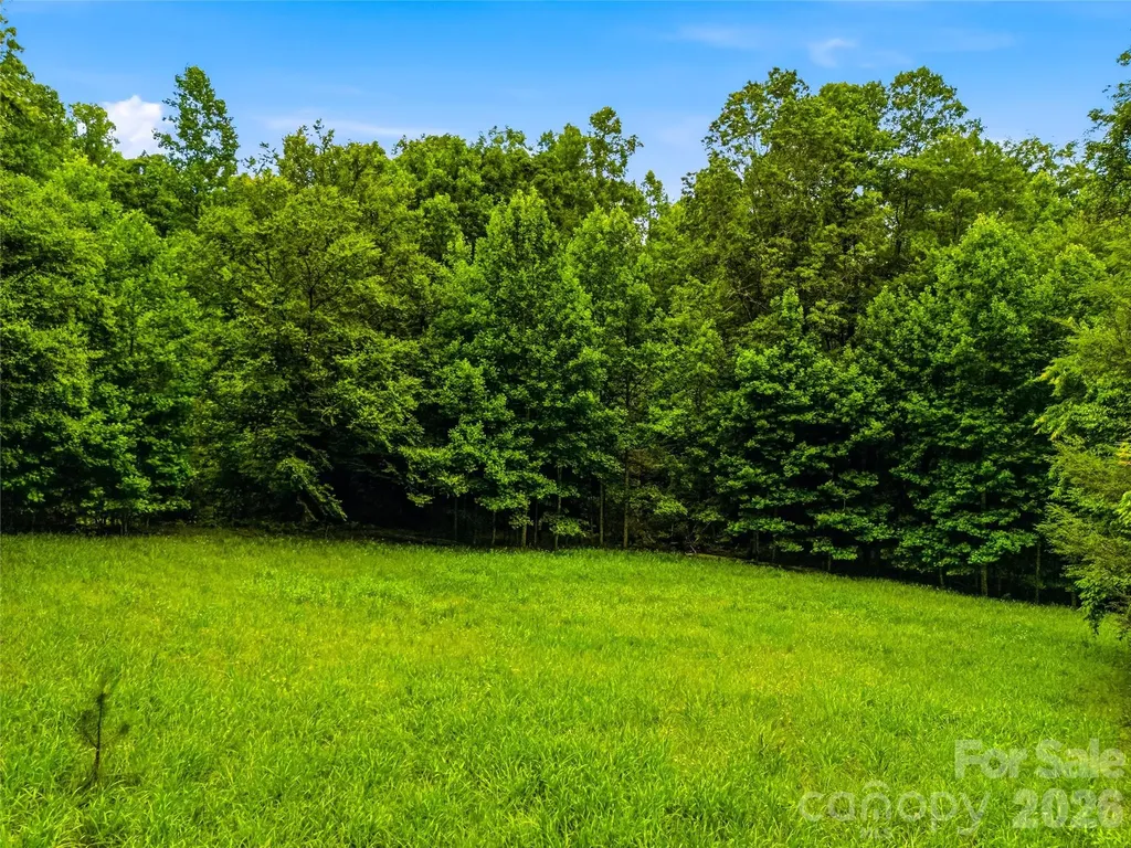 45 Watagnee Trail Horse Shoe NC 28742