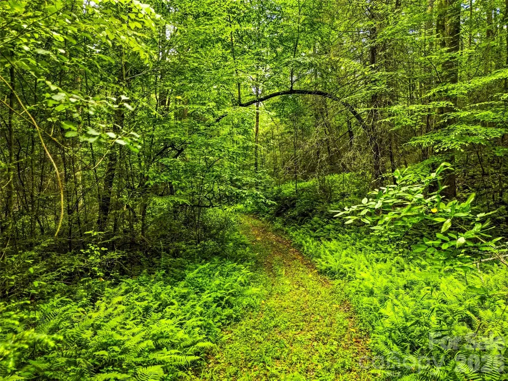 45 Watagnee Trail Horse Shoe NC 28742