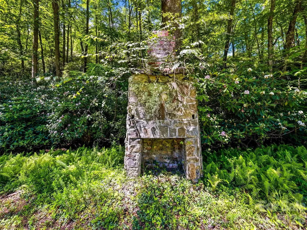 45 Watagnee Trail Horse Shoe NC 28742