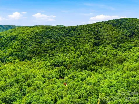 45 Watagnee Trail Horse Shoe NC 28742