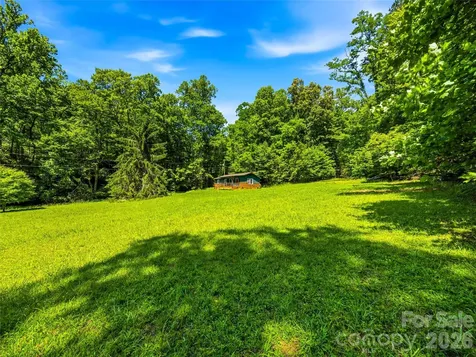 45 Watagnee Trail Horse Shoe NC 28742