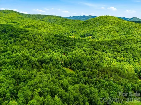 45 Watagnee Trail Horse Shoe NC 28742