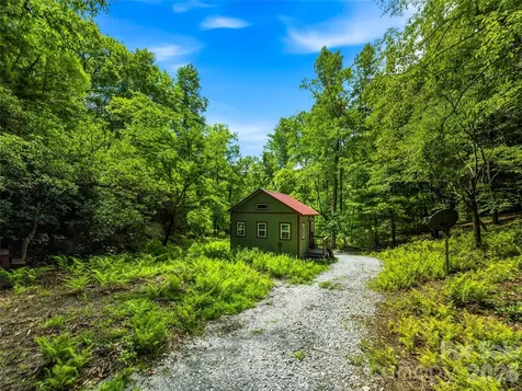 45 Watagnee Trail Horse Shoe NC 28742