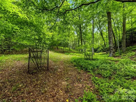 45 Watagnee Trail Horse Shoe NC 28742