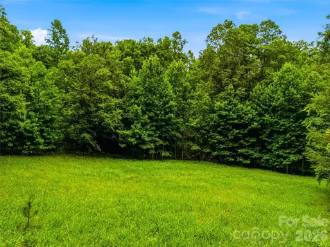 45 Watagnee Trail Horse Shoe NC 28742