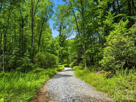 45 Watagnee Trail Horse Shoe NC 28742