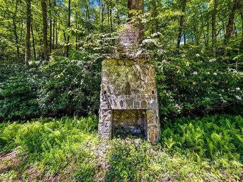 45 Watagnee Trail Horse Shoe NC 28742