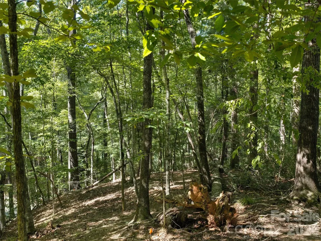 Lot #13 South Cove Road Mill Spring NC 28756