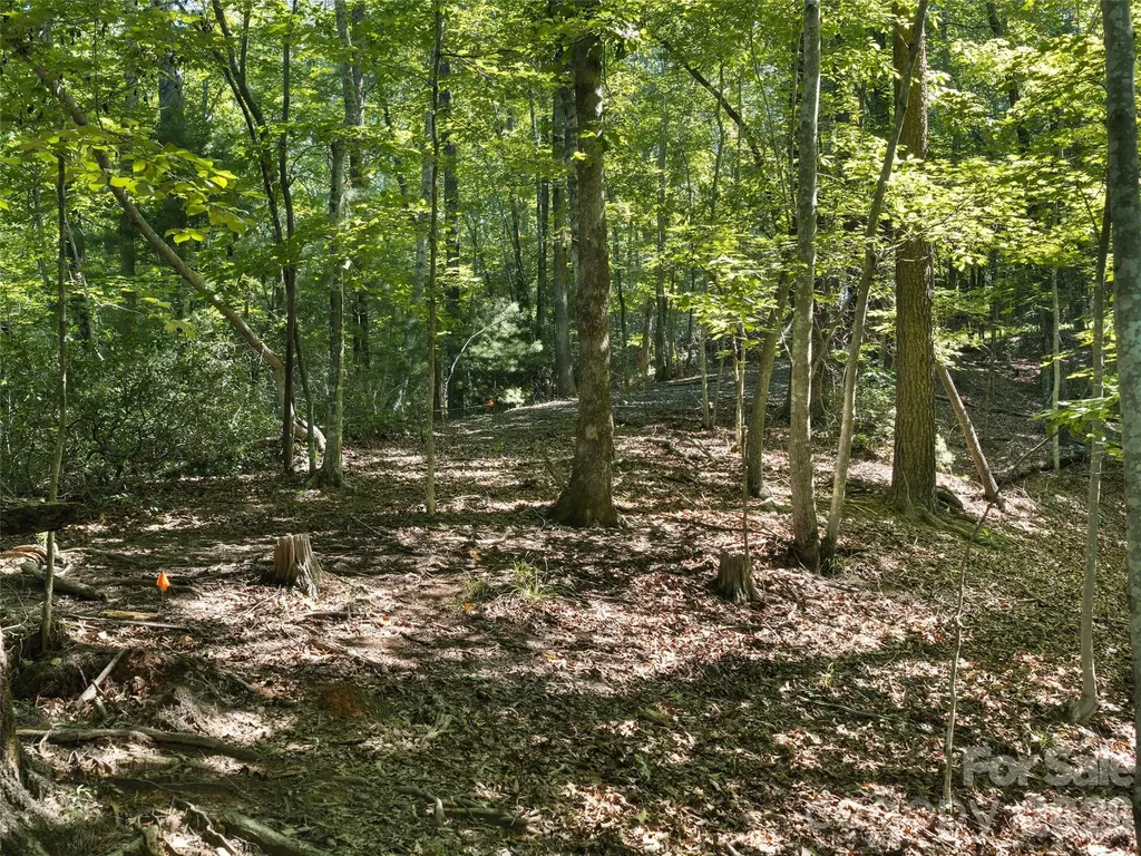 Lot #13 South Cove Road Mill Spring NC 28756
