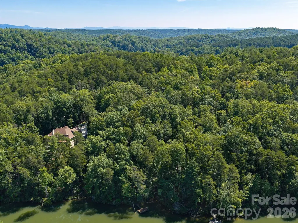 Lot #13 South Cove Road Mill Spring NC 28756