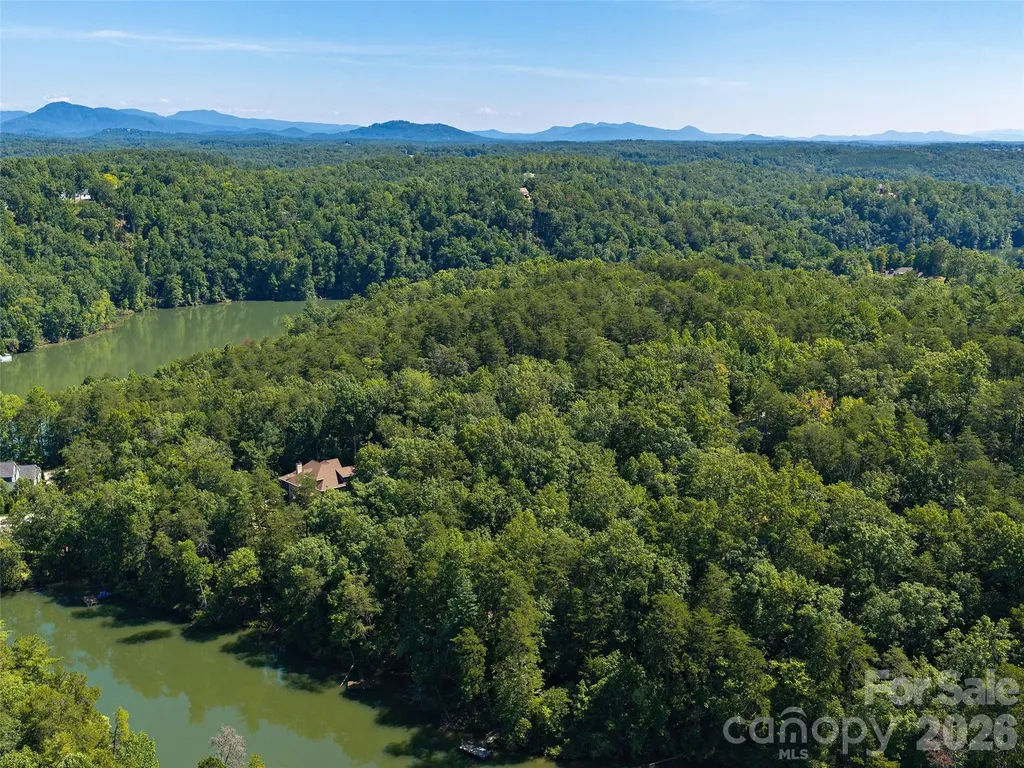 Lot #13 South Cove Road Mill Spring NC 28756