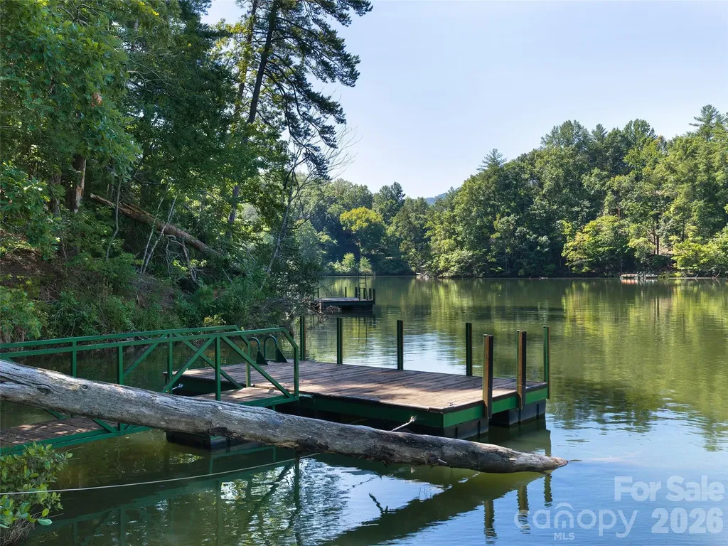Lot #13 South Cove Road Mill Spring NC 28756