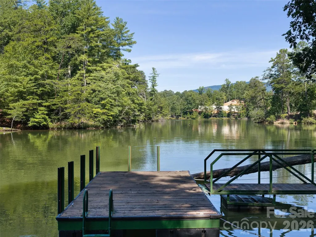 Lot #13 South Cove Road Mill Spring NC 28756