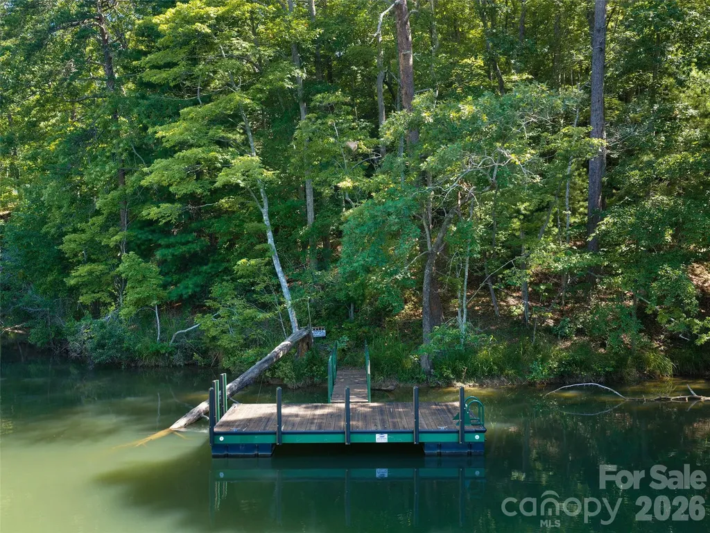 Lot #13 South Cove Road Mill Spring NC 28756