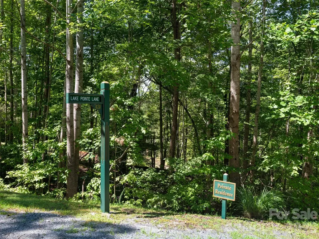 Lot #13 South Cove Road Mill Spring NC 28756