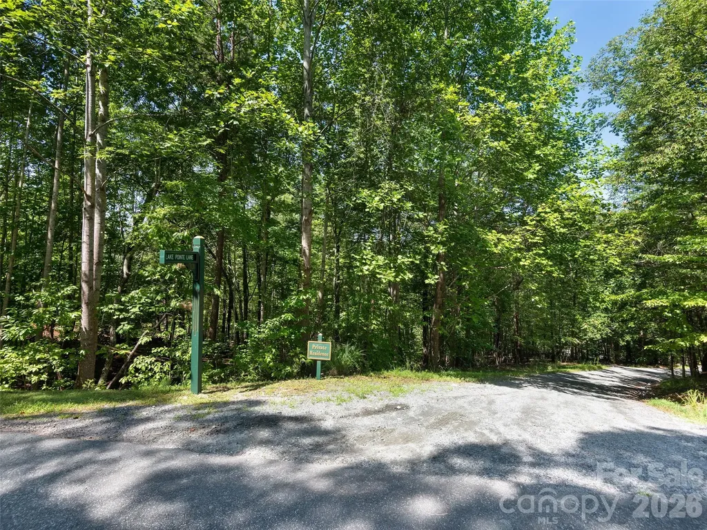 Lot #13 South Cove Road Mill Spring NC 28756