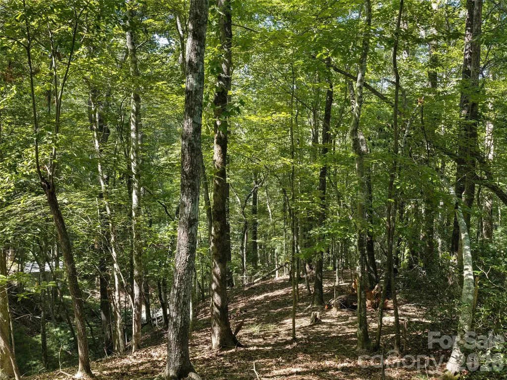 Lot #13 South Cove Road Mill Spring NC 28756