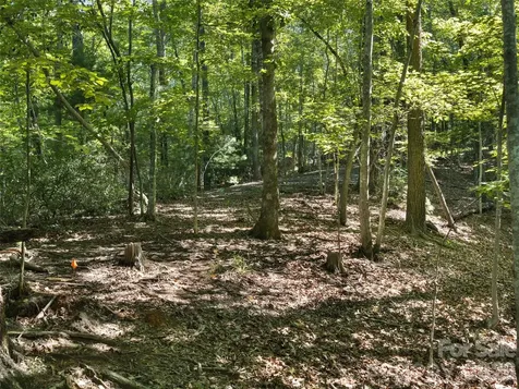 Lot #13 South Cove Road Mill Spring NC 28756