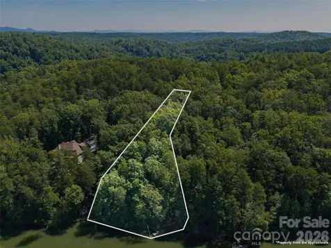 Lot #13 South Cove Road Mill Spring NC 28756