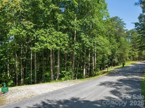 Lot #13 South Cove Road Mill Spring NC 28756