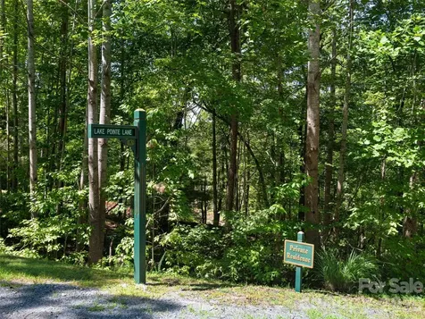 Lot #13 South Cove Road Mill Spring NC 28756