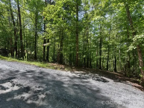 Lot #13 South Cove Road Mill Spring NC 28756