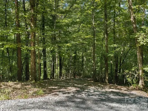 Lot #13 South Cove Road Mill Spring NC 28756