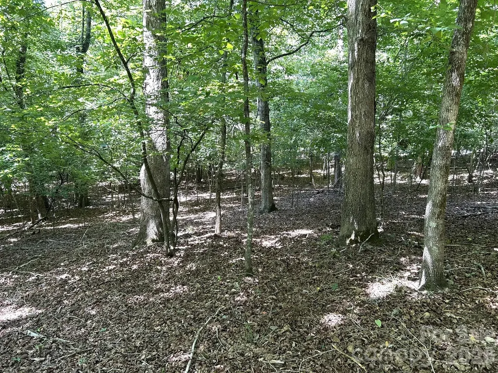 00 River Crest Parkway Rutherfordton NC 28139
