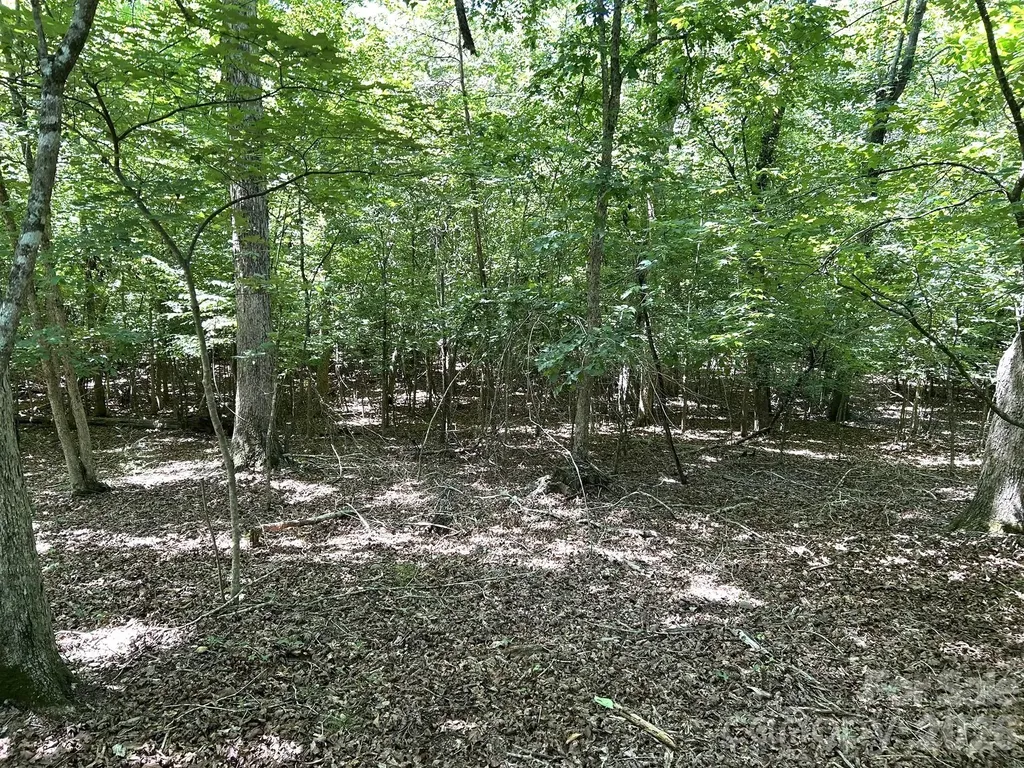 00 River Crest Parkway Rutherfordton NC 28139