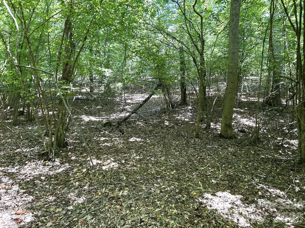 00 River Crest Parkway Rutherfordton NC 28139