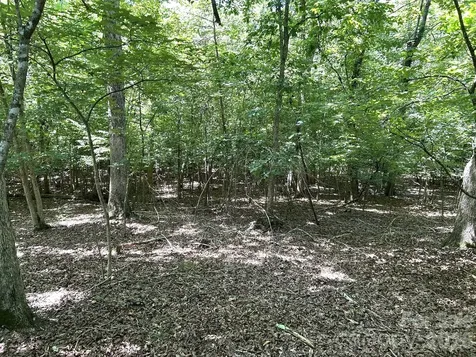 00 River Crest Parkway Rutherfordton NC 28139