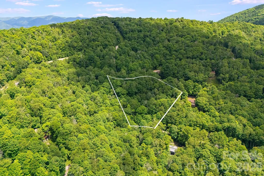 10 Buckeye Road Mars Hill NC 28754