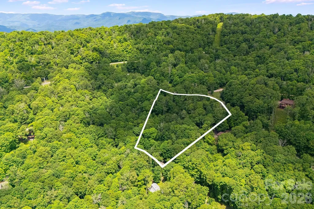10 Buckeye Road Mars Hill NC 28754